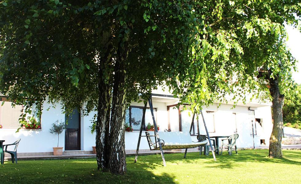 PiciniscoChez Nous住宿加早餐旅馆 外观 照片